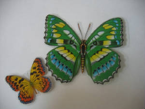magnet_butterfly.jpg